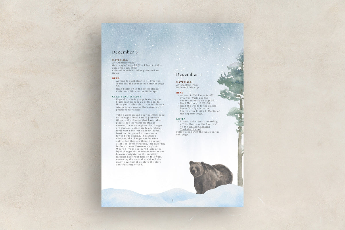 Advent Collection Activity Guide (Download)