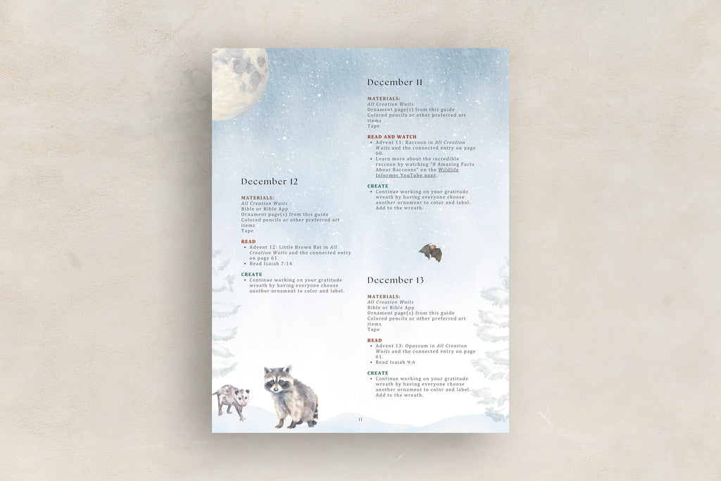 Advent Collection Activity Guide (Download)