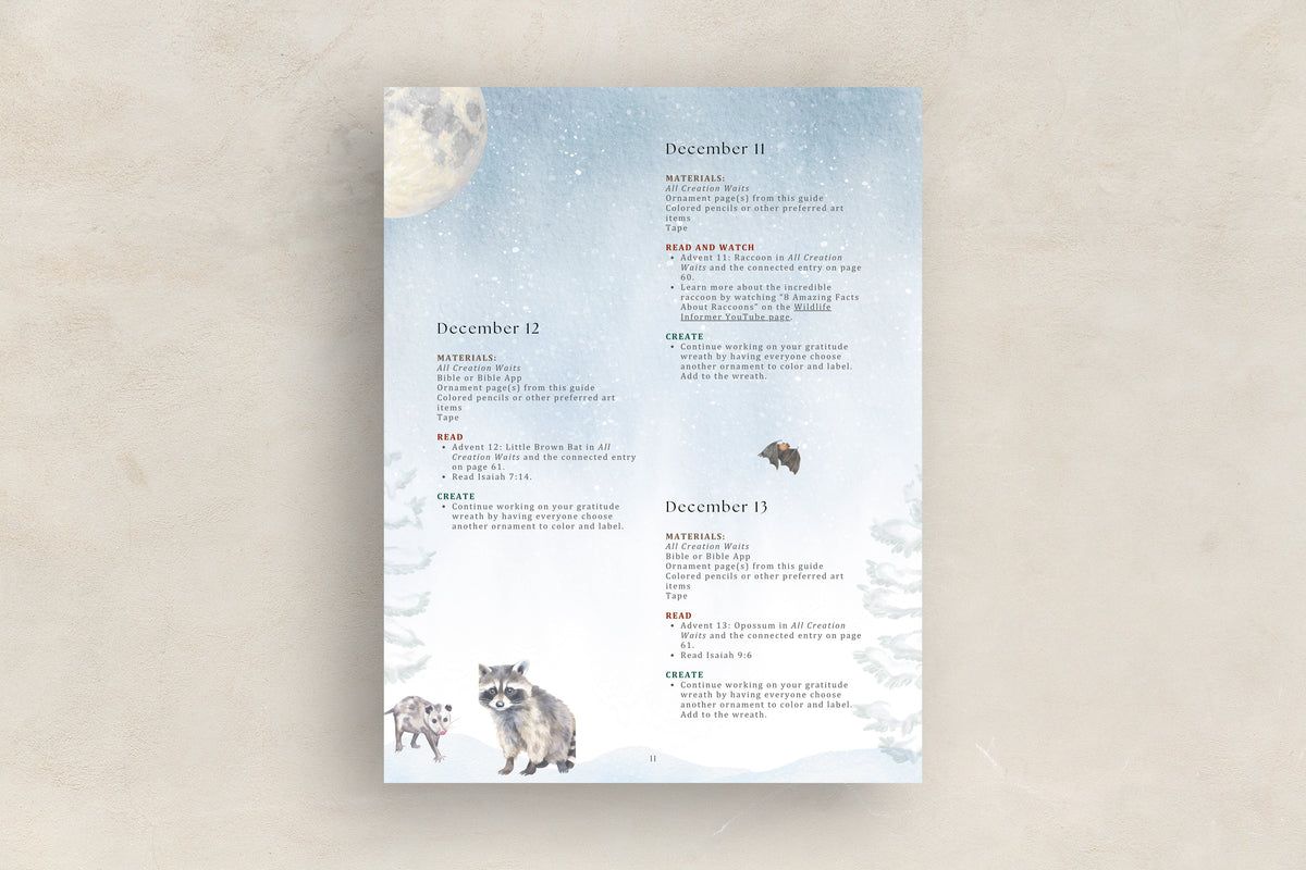 Advent Collection Activity Guide (Download)