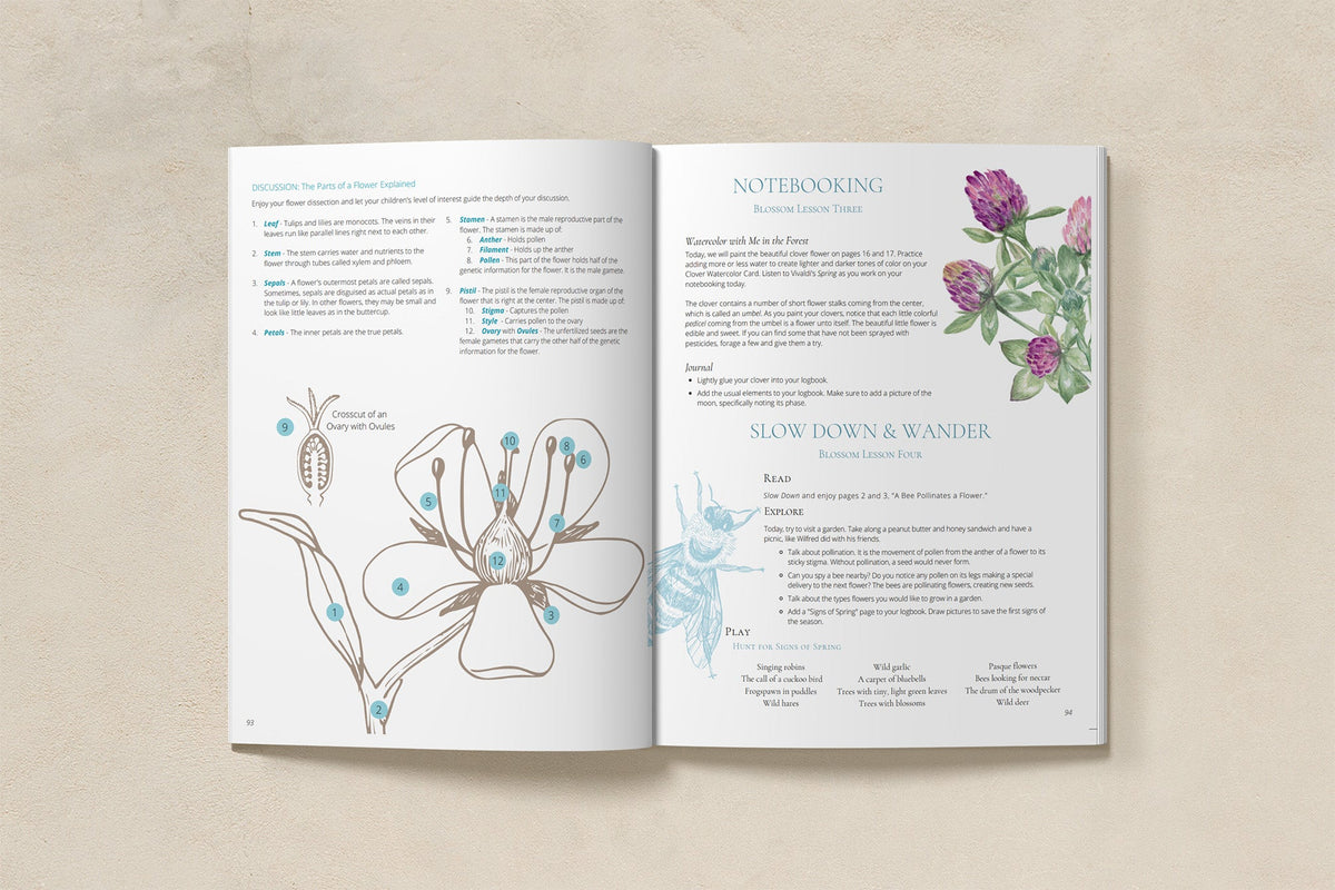 Charter School: Seasons Afield (K-3) Nature Study Curriculum