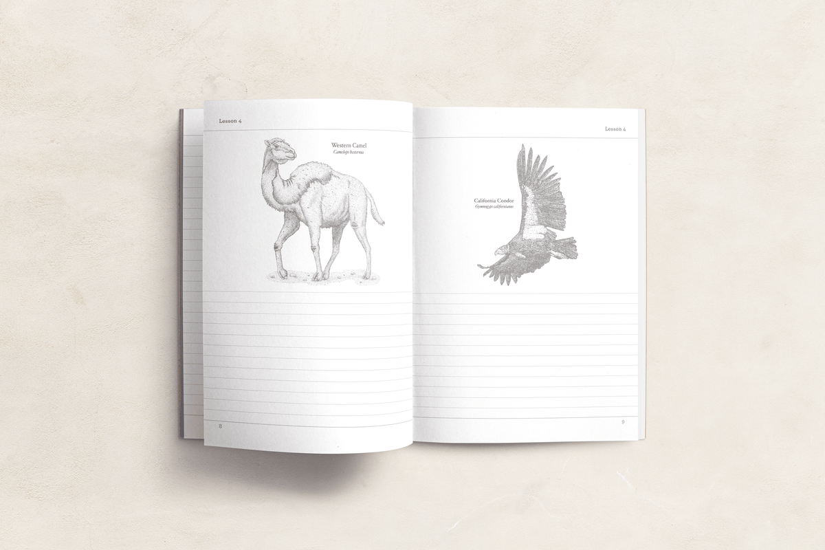 California Notebook