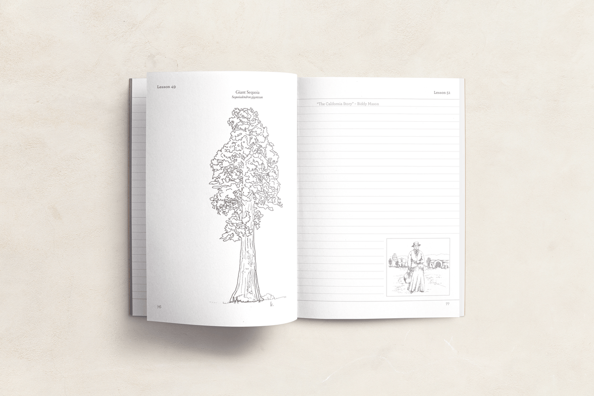 California Notebook