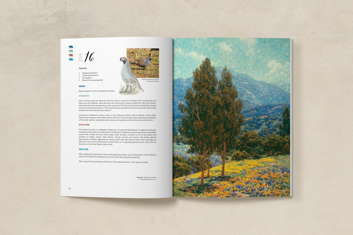 California History (4-6)