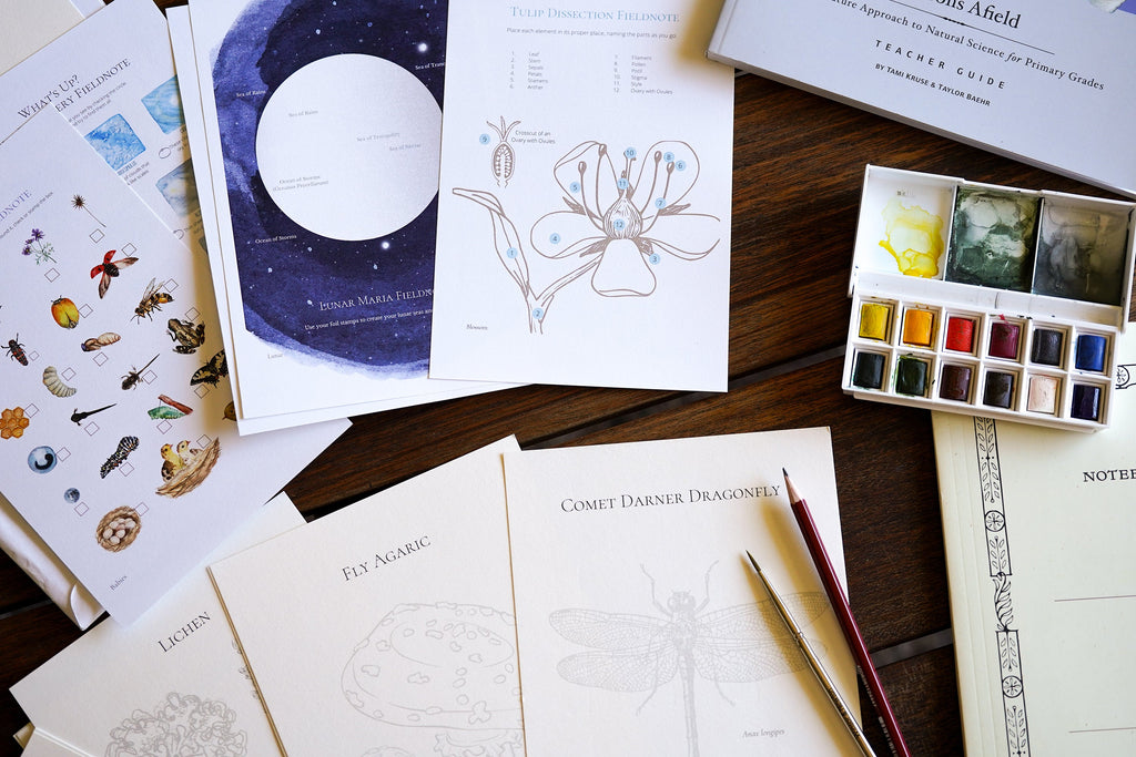 Charter School: Seasons Afield (K-3) Nature Study Curriculum