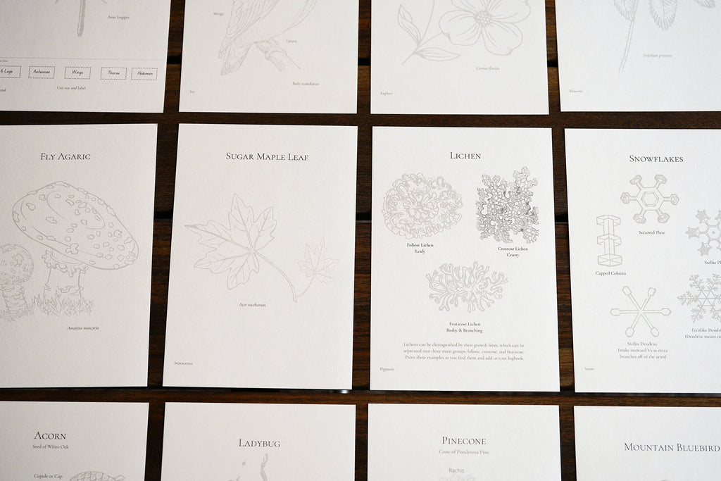 Charter School: Seasons Afield (K-3) Nature Study Curriculum
