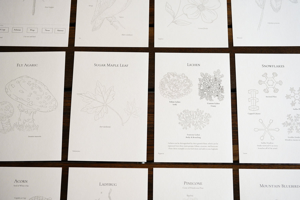 Charter School: Seasons Afield (K-3) Nature Study Curriculum