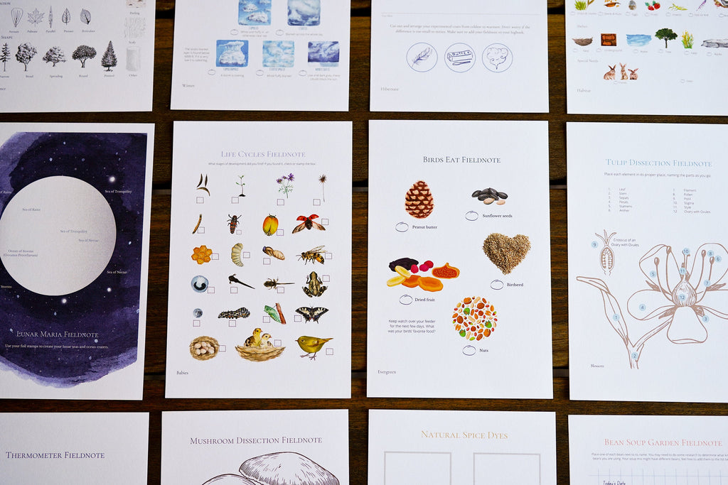 Charter School: Seasons Afield (K-3) Nature Study Curriculum