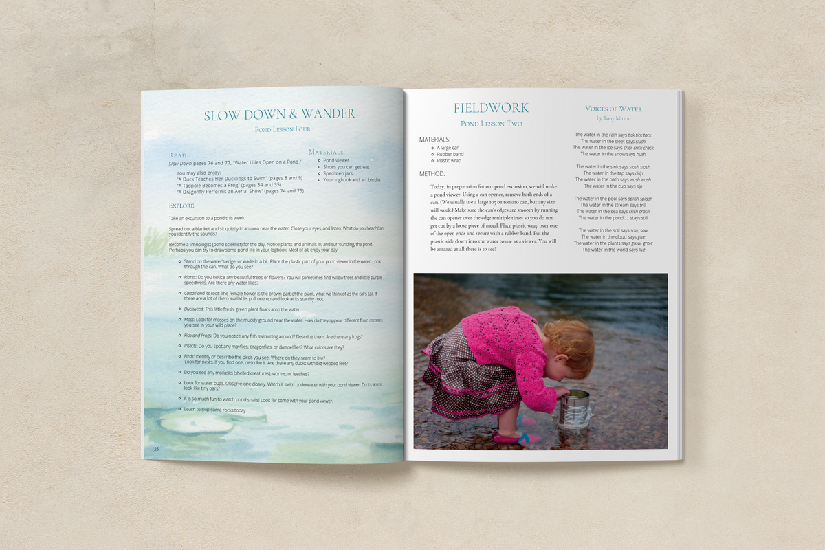 Charter School: Seasons Afield (K-3) Nature Study Curriculum